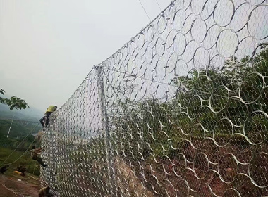 SNS���Ա��ӷ��o�W���h�ξW��